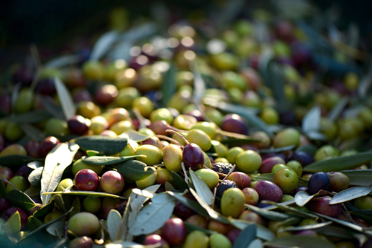 20 Reasons why you should start eating olives