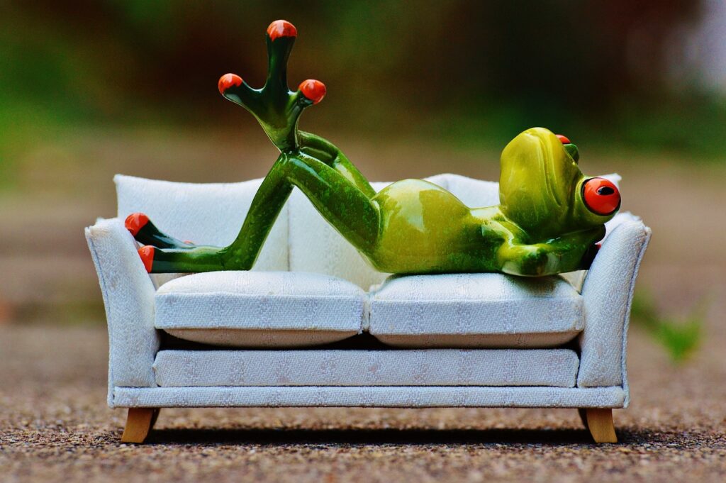 sofa-frog