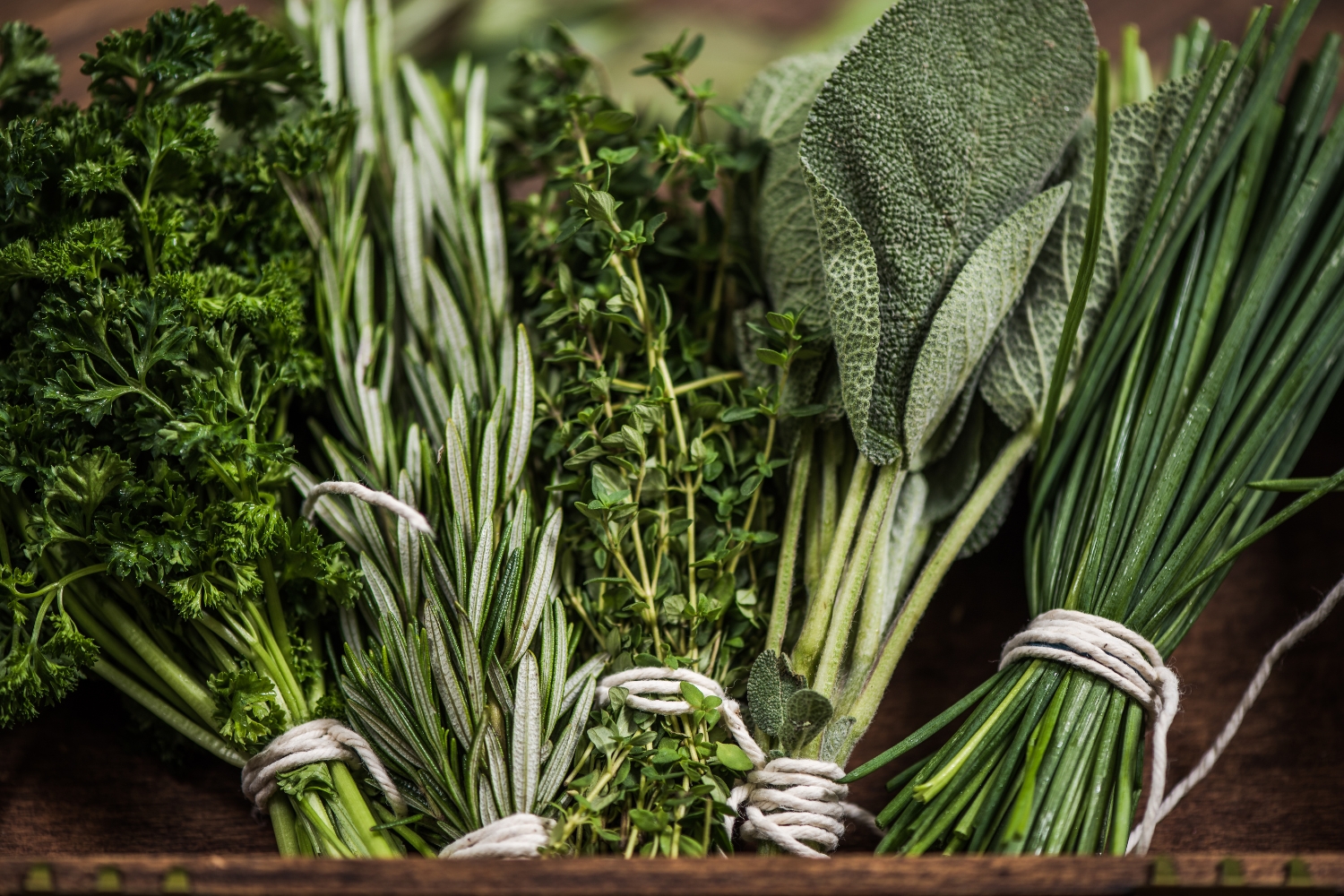 A Comprehensive Guide to the Primary Uses of Essential Herbs